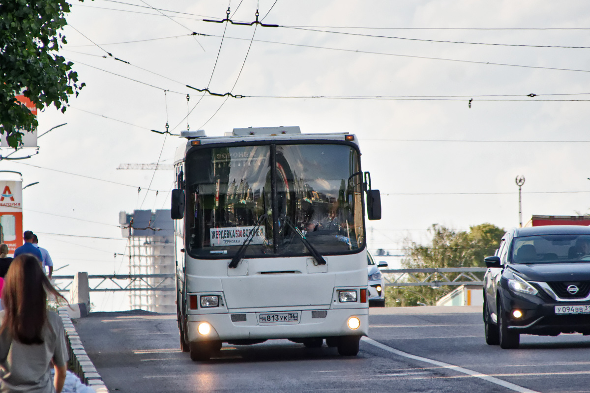 Воронеж терновка автобус расписание. 530 Автобус Терновка Воронеж. Р208 УК 36.