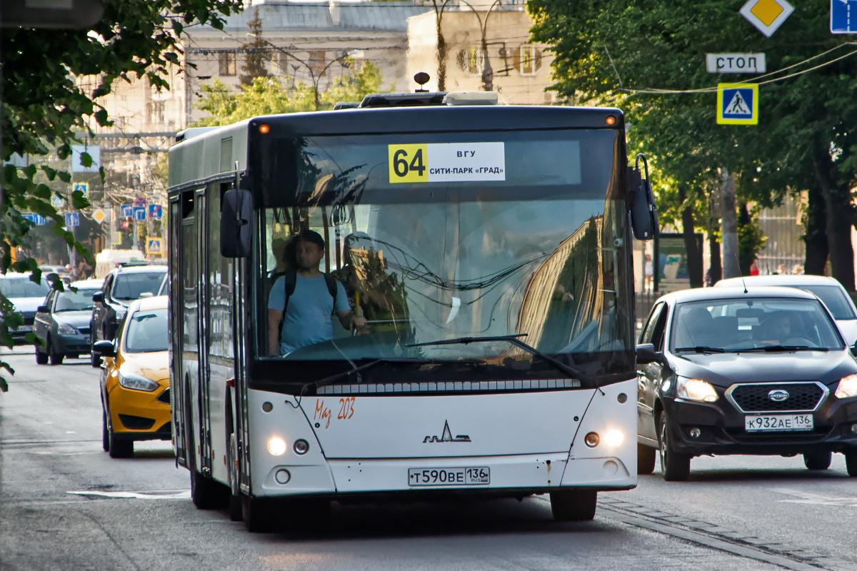 МАЗ-203.068 т590ве - Воронеж - Фото №259910 - Твой Транспорт