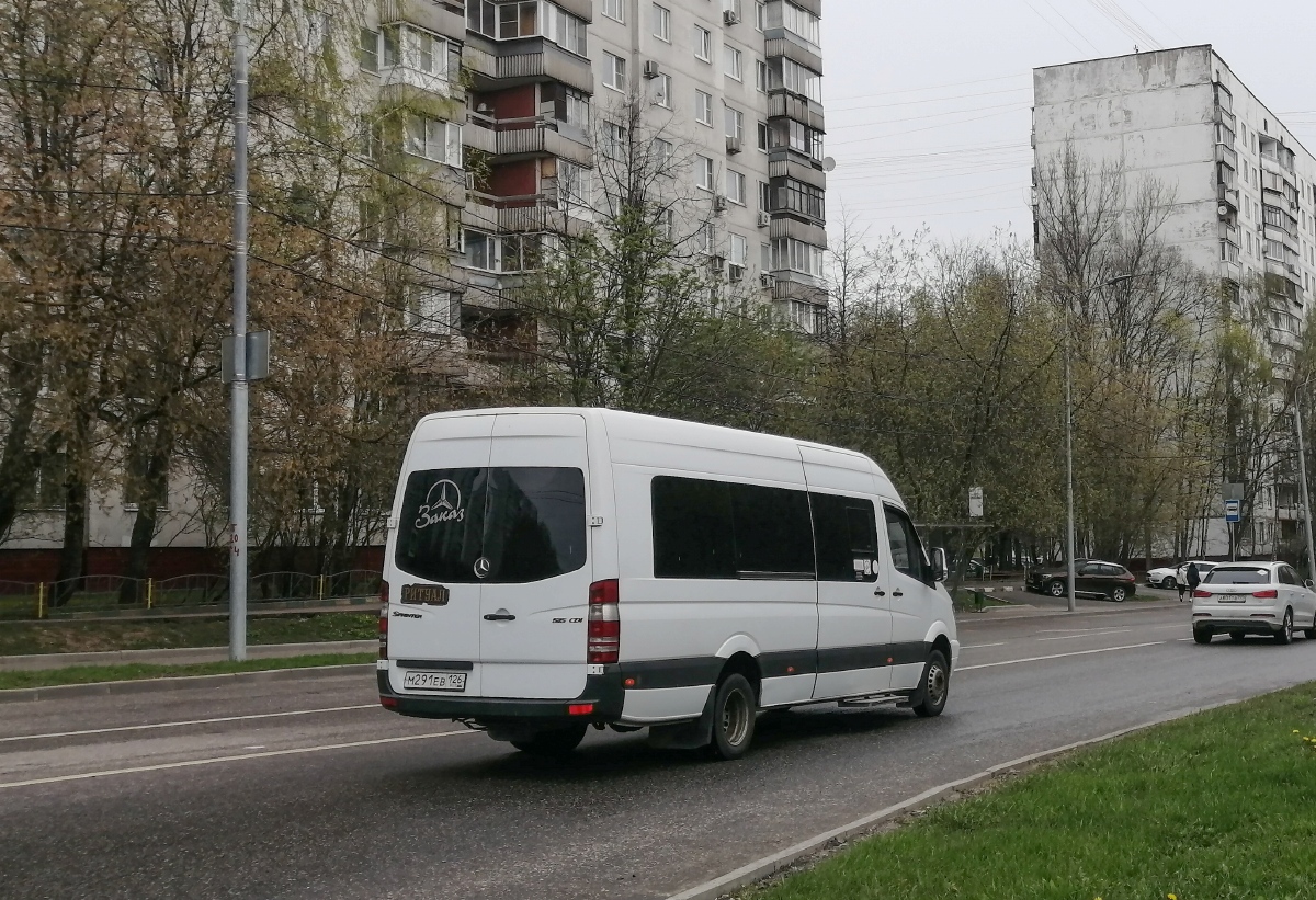 Москва. Луидор-22360C (Mercedes-Benz Sprinter) м291ев