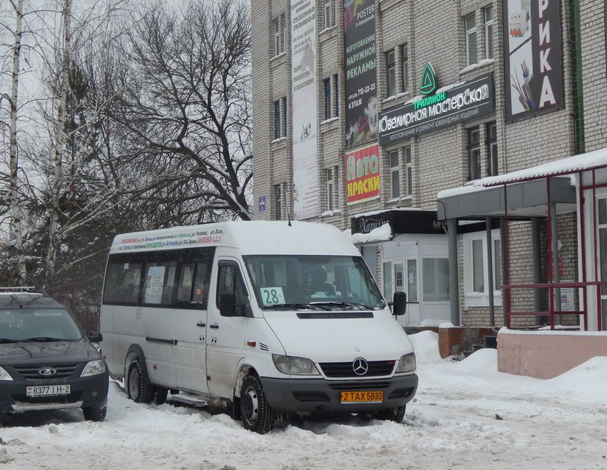 Луидор-2232 (Mercedes-Benz Sprinter) 2TAX5830 - Витебск - Фото №283339 -  Твой Транспорт