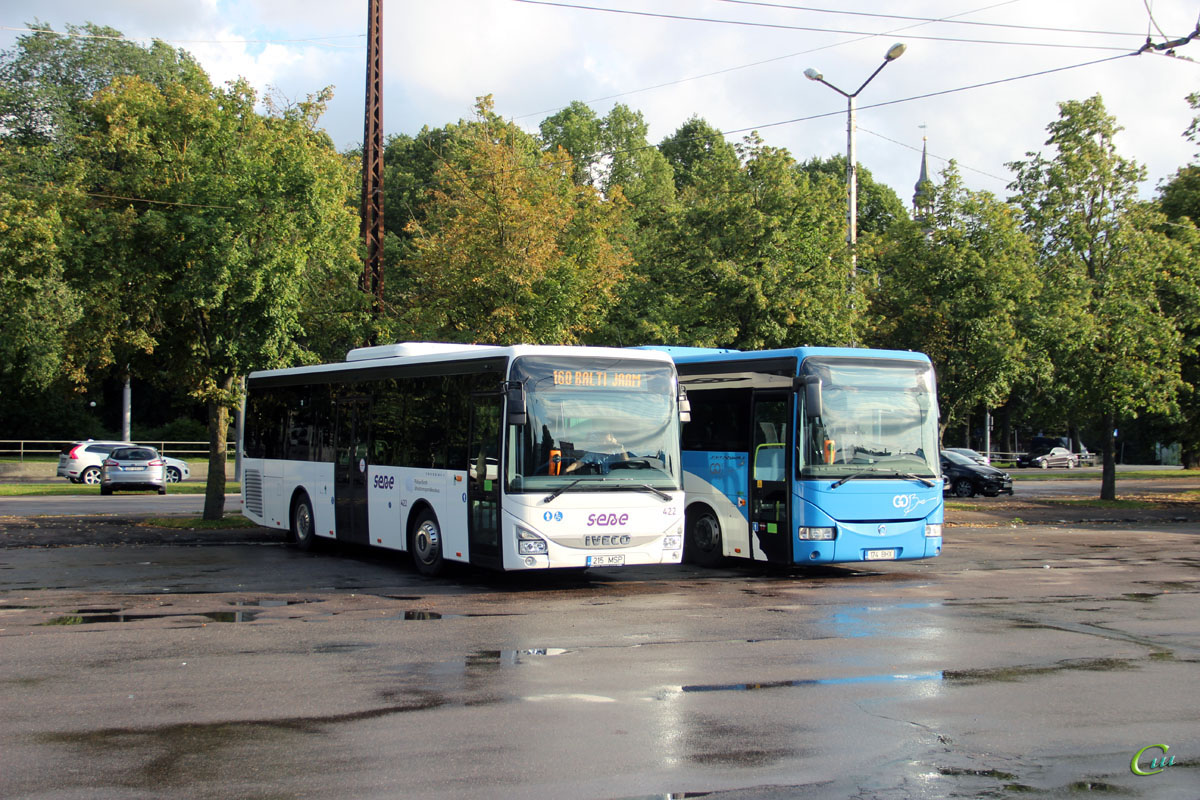 Таллин. IVECO Crossway LE 10.8M 215 MSP, Irisbus Crossway 12M 174 BHX