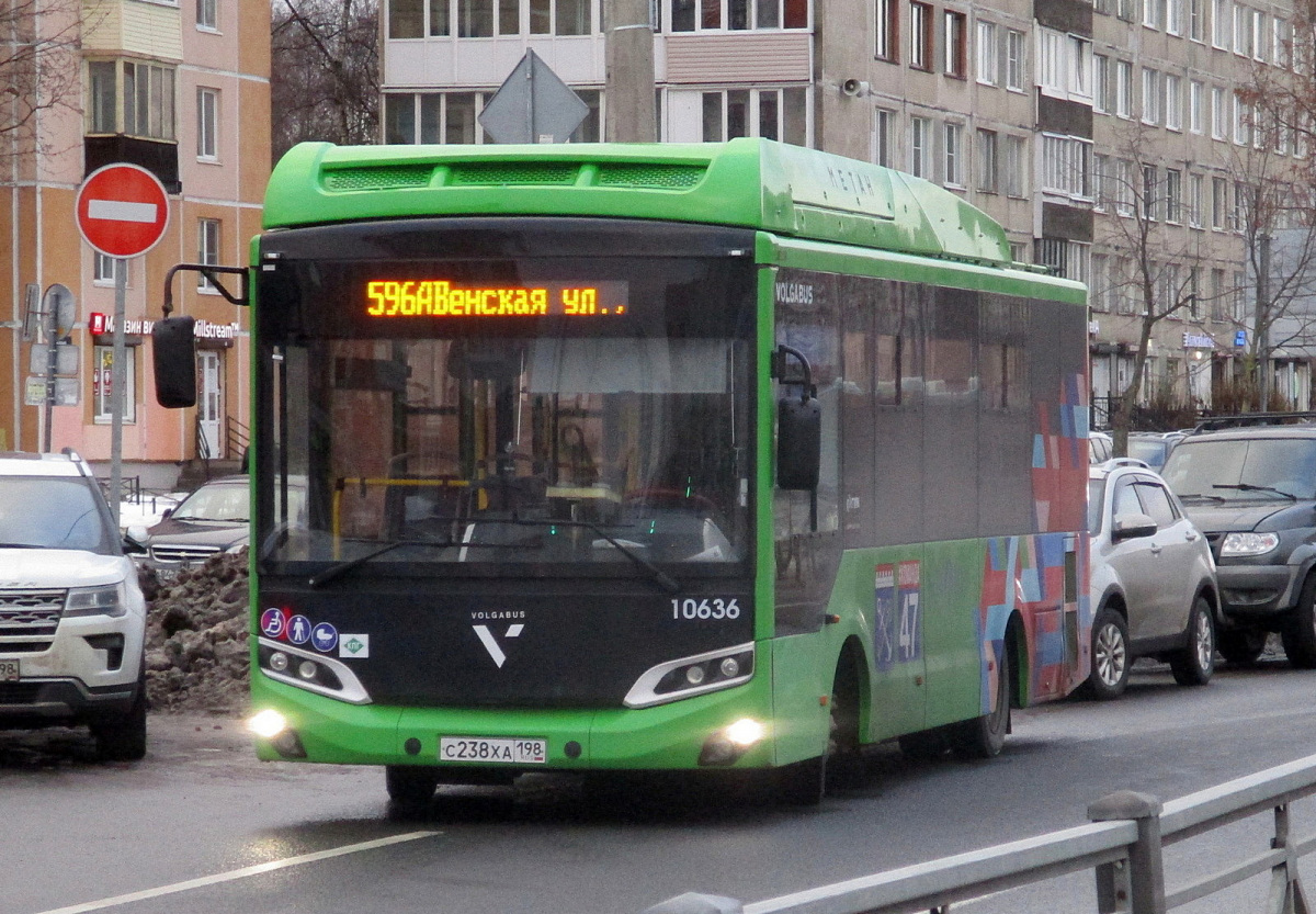 Volgabus-4298.G4 (CNG) с238ха - Санкт-Петербург - Фото №285645 - Твой  Транспорт