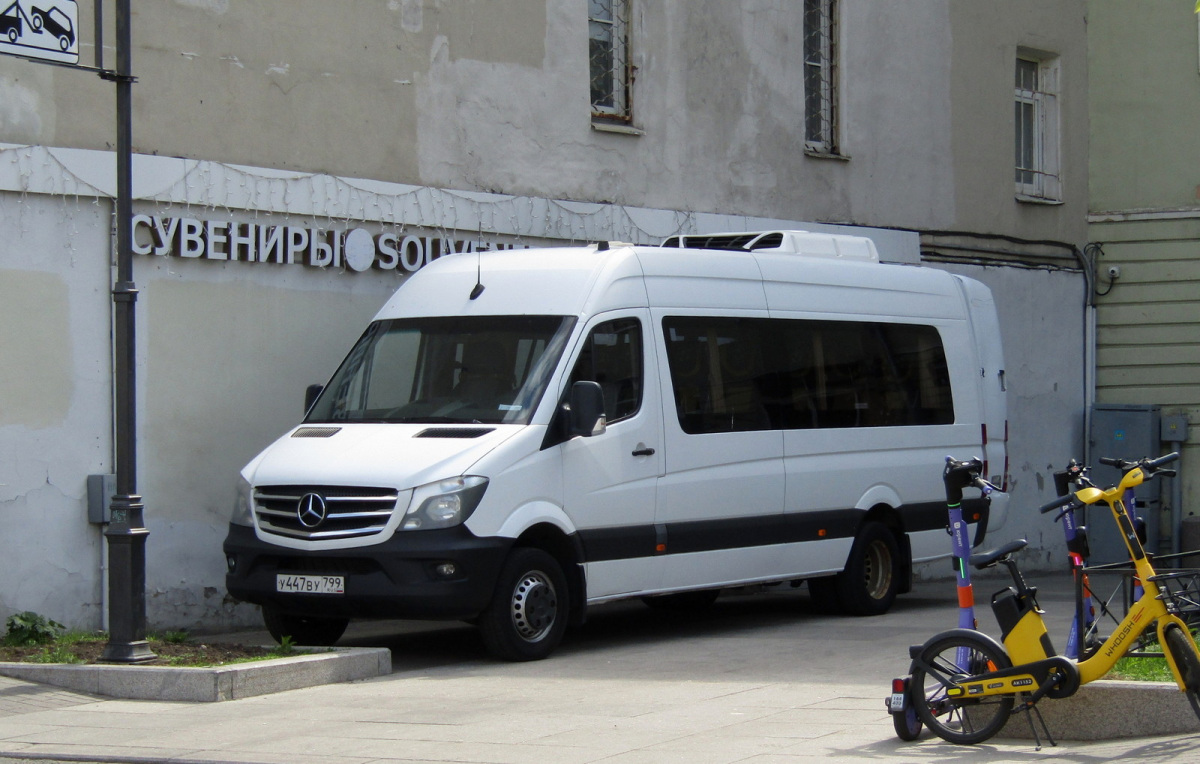 Санкт-Петербург. Луидор-223602 (Mercedes-Benz Sprinter) у447ву