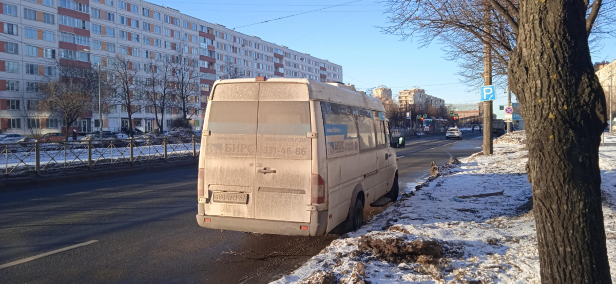 Санкт-Петербург. Луидор-223237 (Mercedes-Benz Sprinter) в804ус
