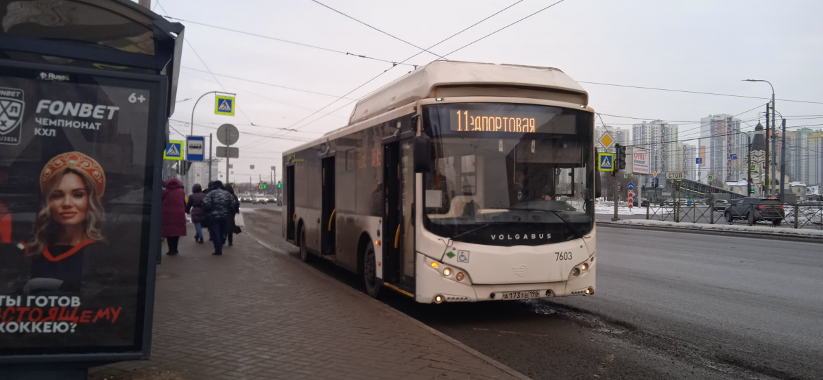 Санкт-Петербург. Volgabus-5270.G0 а173тв