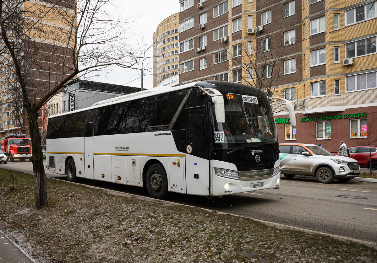 Golden Dragon XML6127JR Snow Leopard о460хн - Королёв - Фото №292228 - Твой  Транспорт