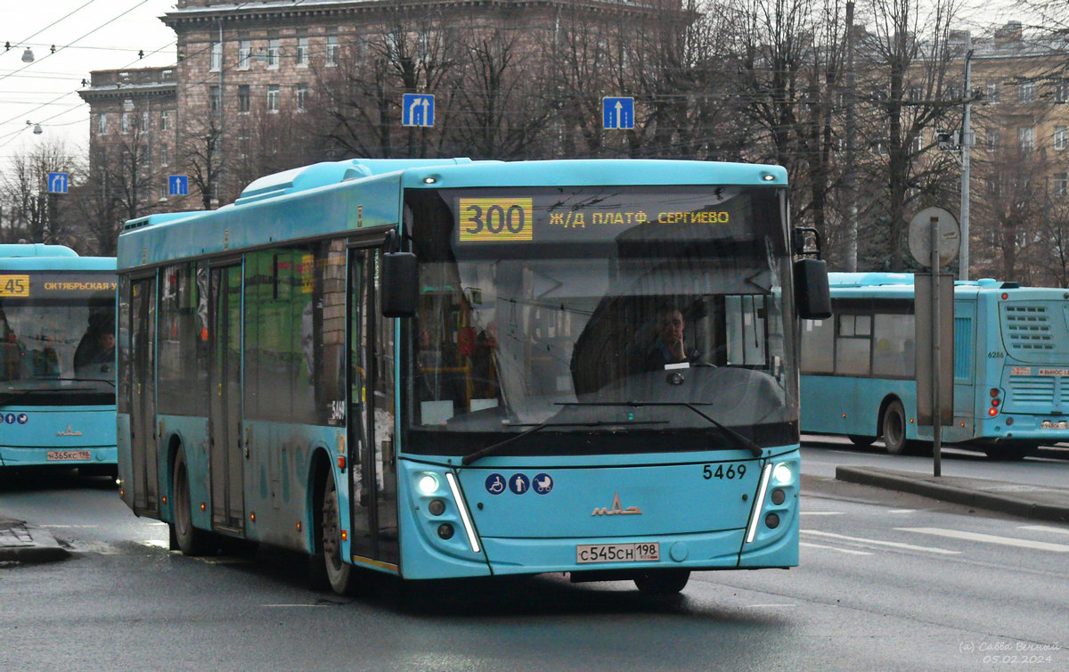 Санкт-Петербург. Volgabus-5270.G4 (LNG) р948ок, МАЗ-203.047 н365кс, МАЗ-203.047 с545сн