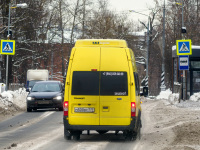 Химки. Avestark (Ford Transit) м500вс