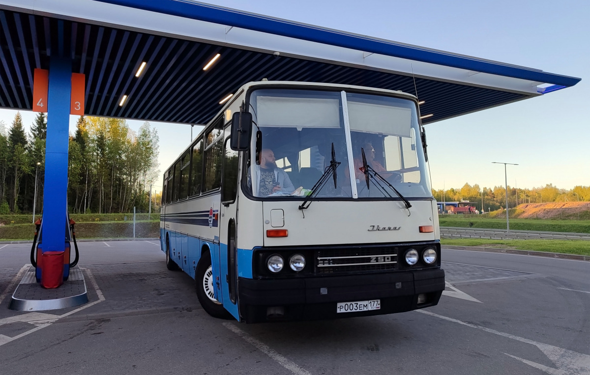 Ikarus 250.95 р003ем - Малая Вишера - Фото №307701 - Твой Транспорт