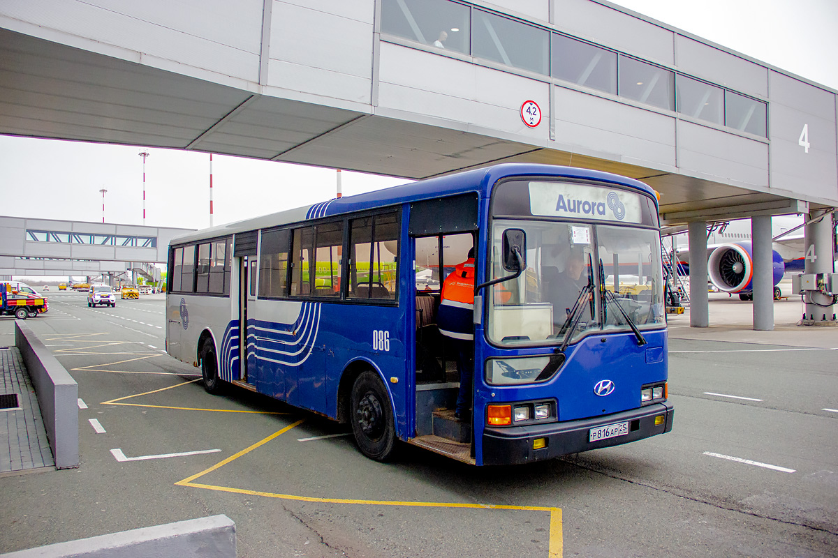 Hyundai AeroCity 540 р816ар - Артём - Фото №308203 - Твой Транспорт