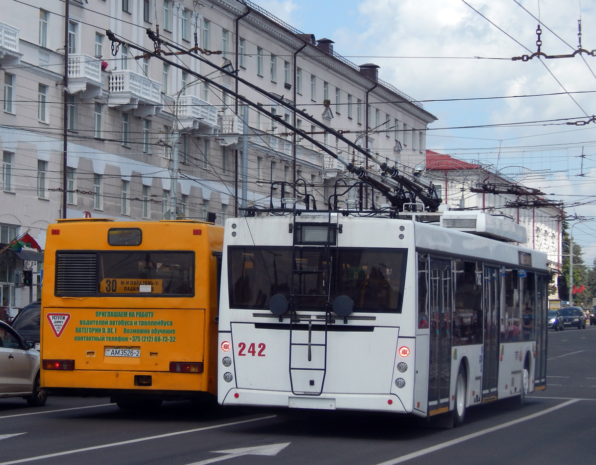 МАЗ-203Т70 №242, МАЗ-103.065 AM3526-2 - Витебск - Фото №312247 - Твой  Транспорт